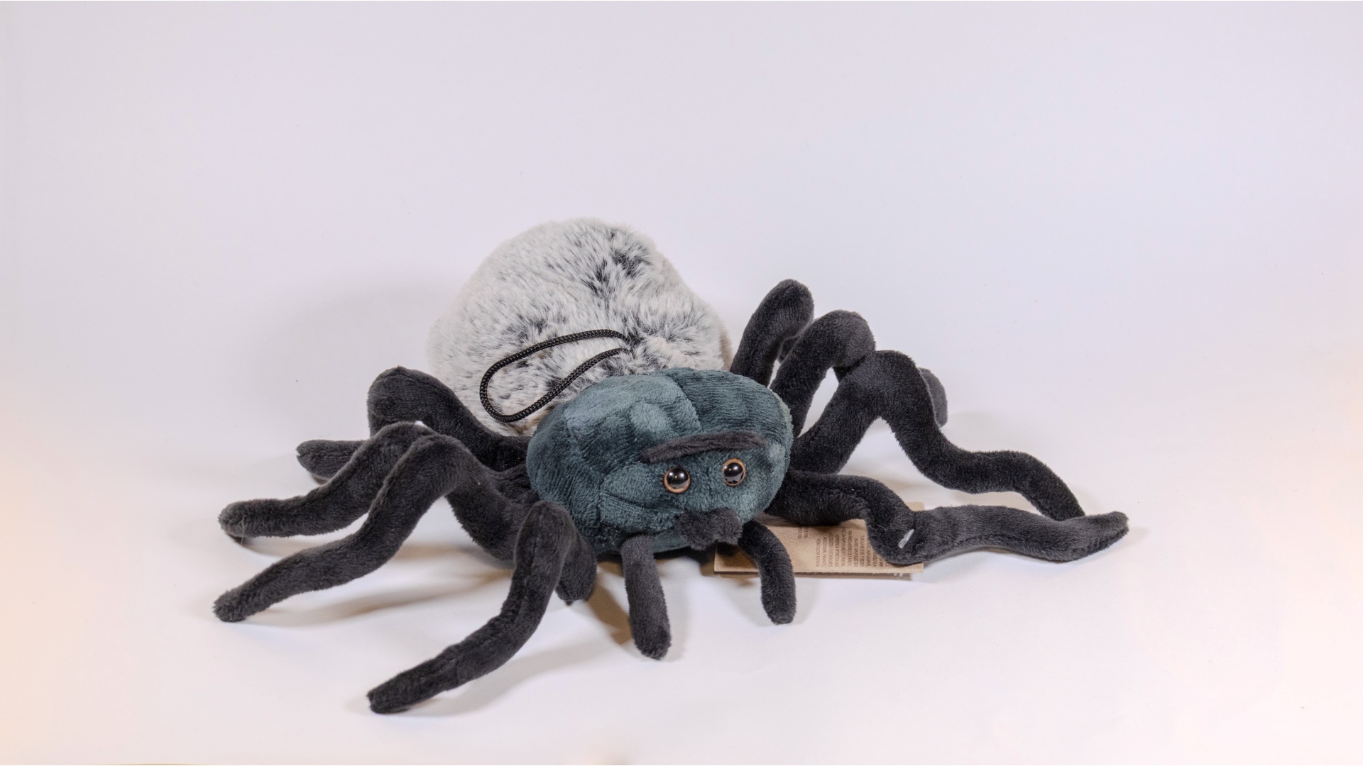Producto Araña - primera imagen